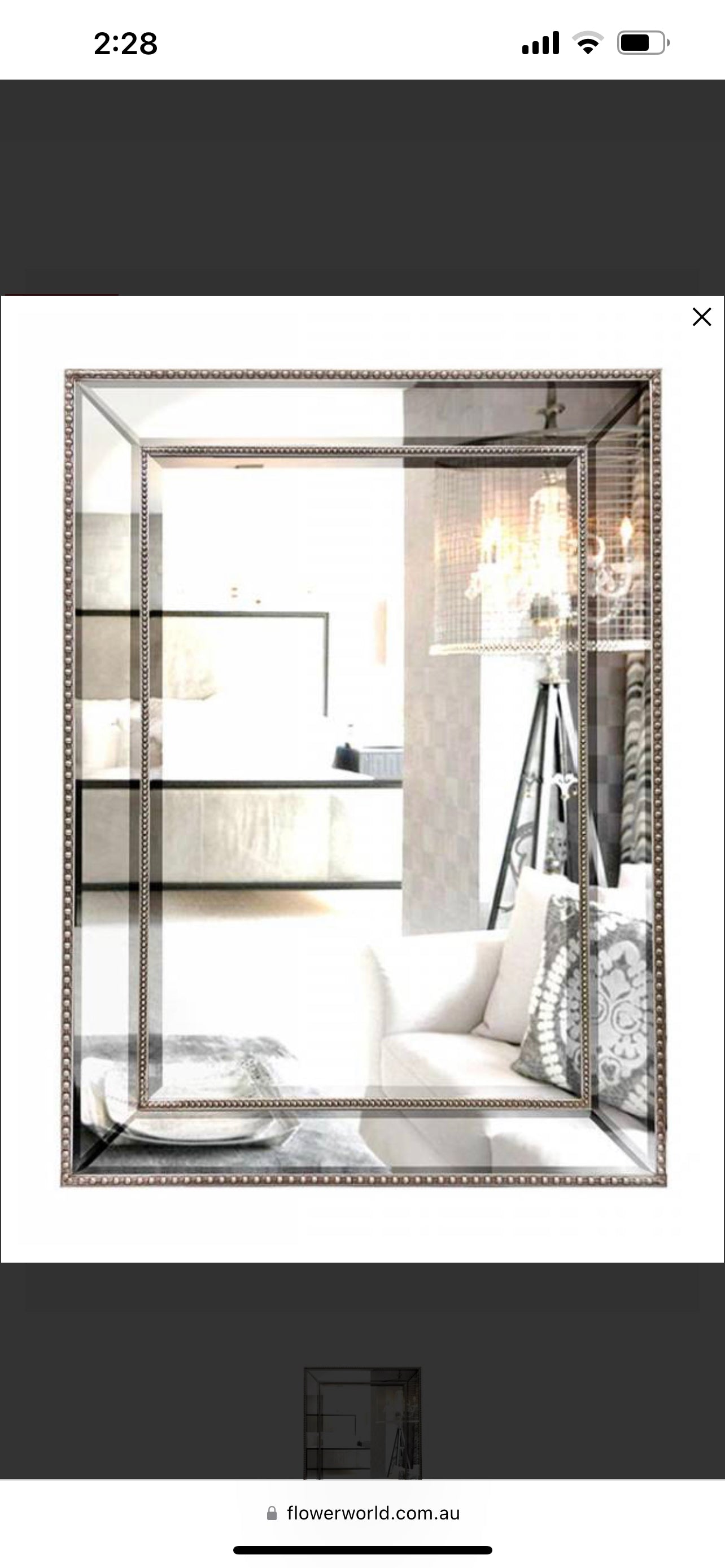Silver Detailed Mirror