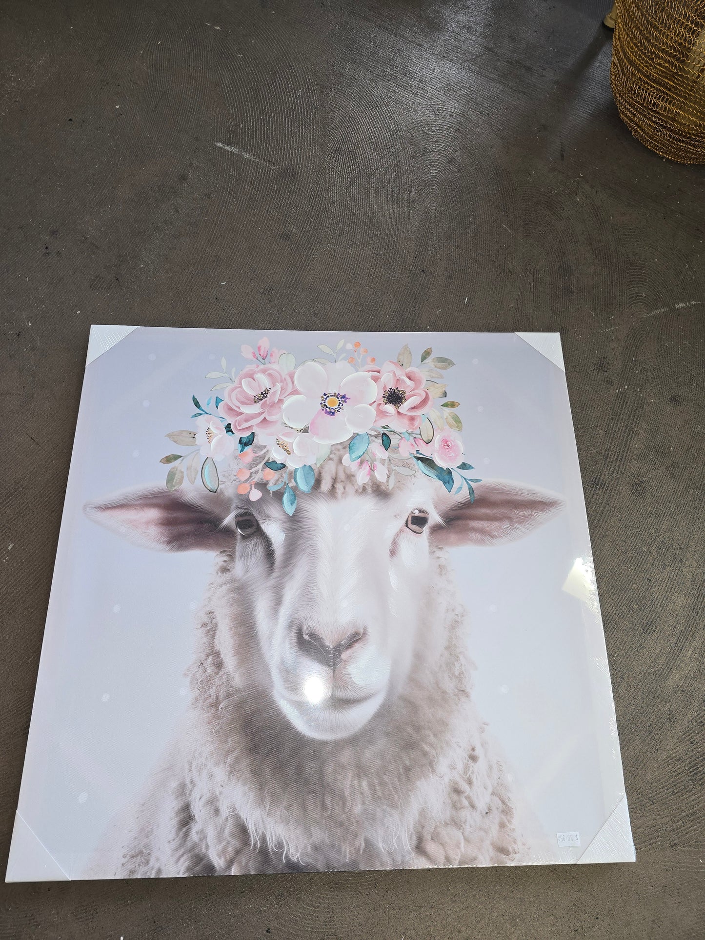 Dolly sheep Canvas