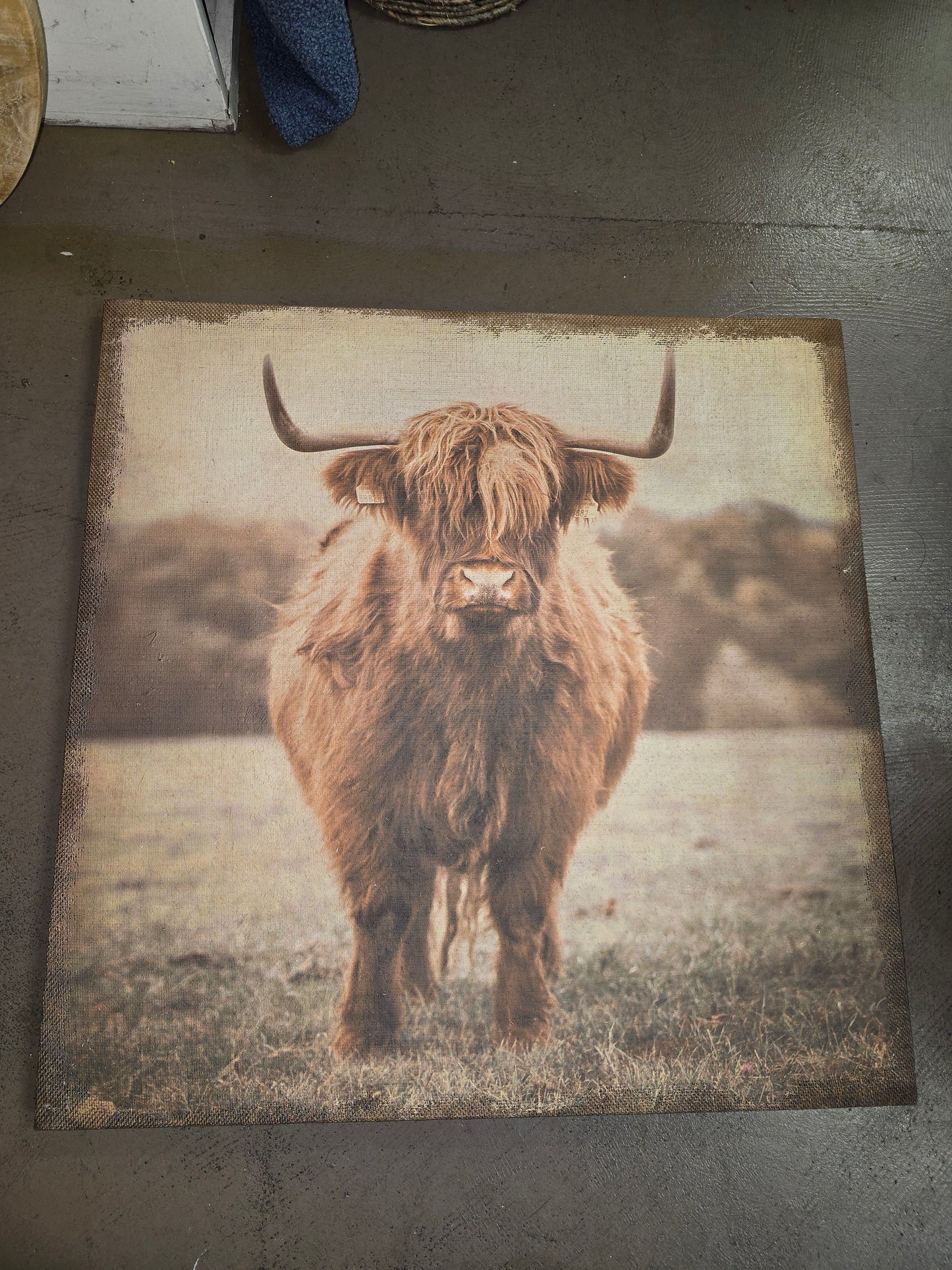 Hessian Cow Print