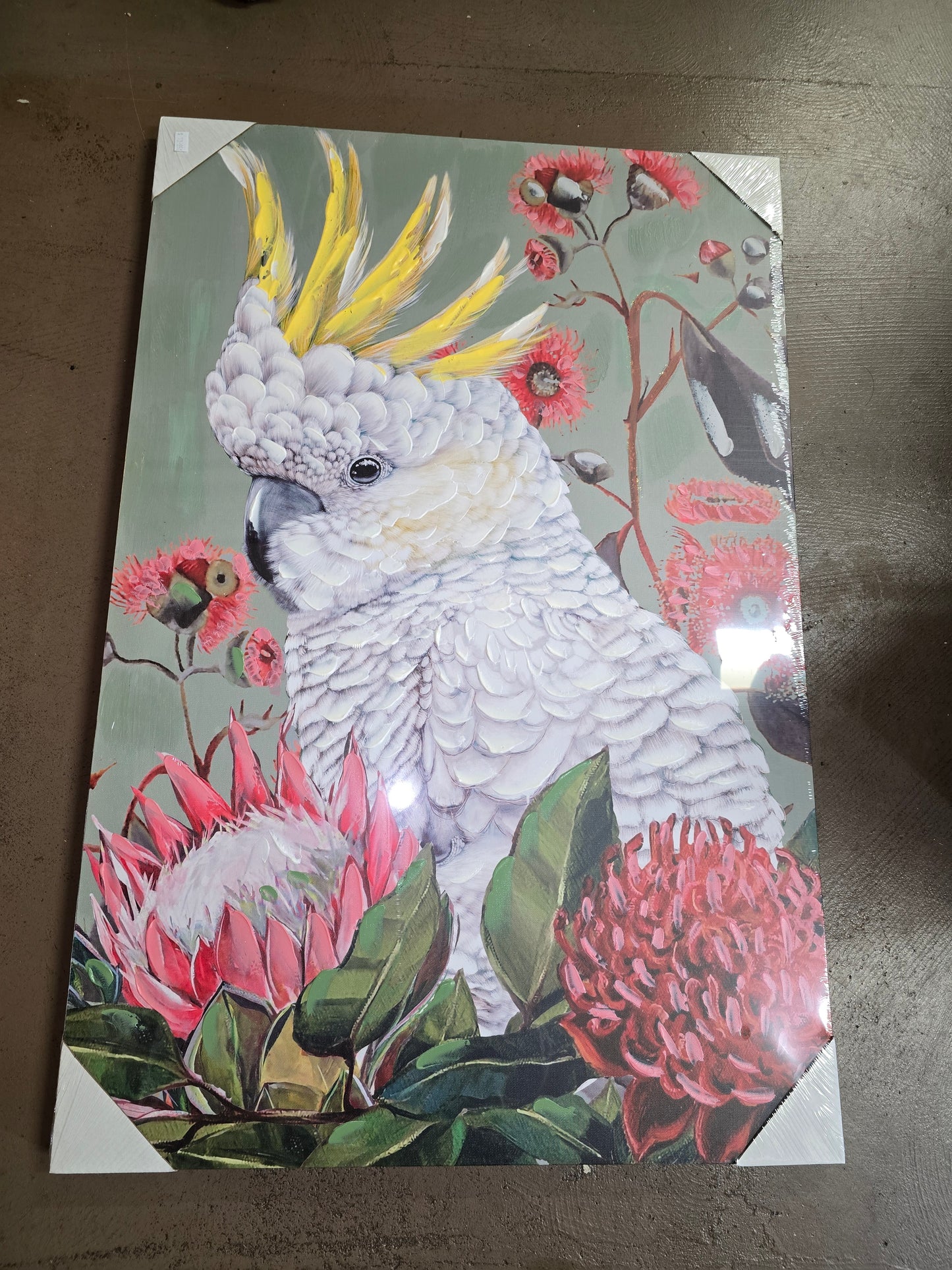 Cocky Print