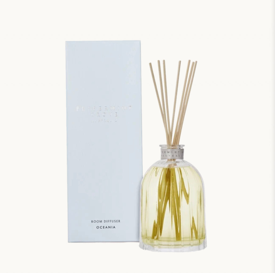 Small Fragrance Diffuser 100ml