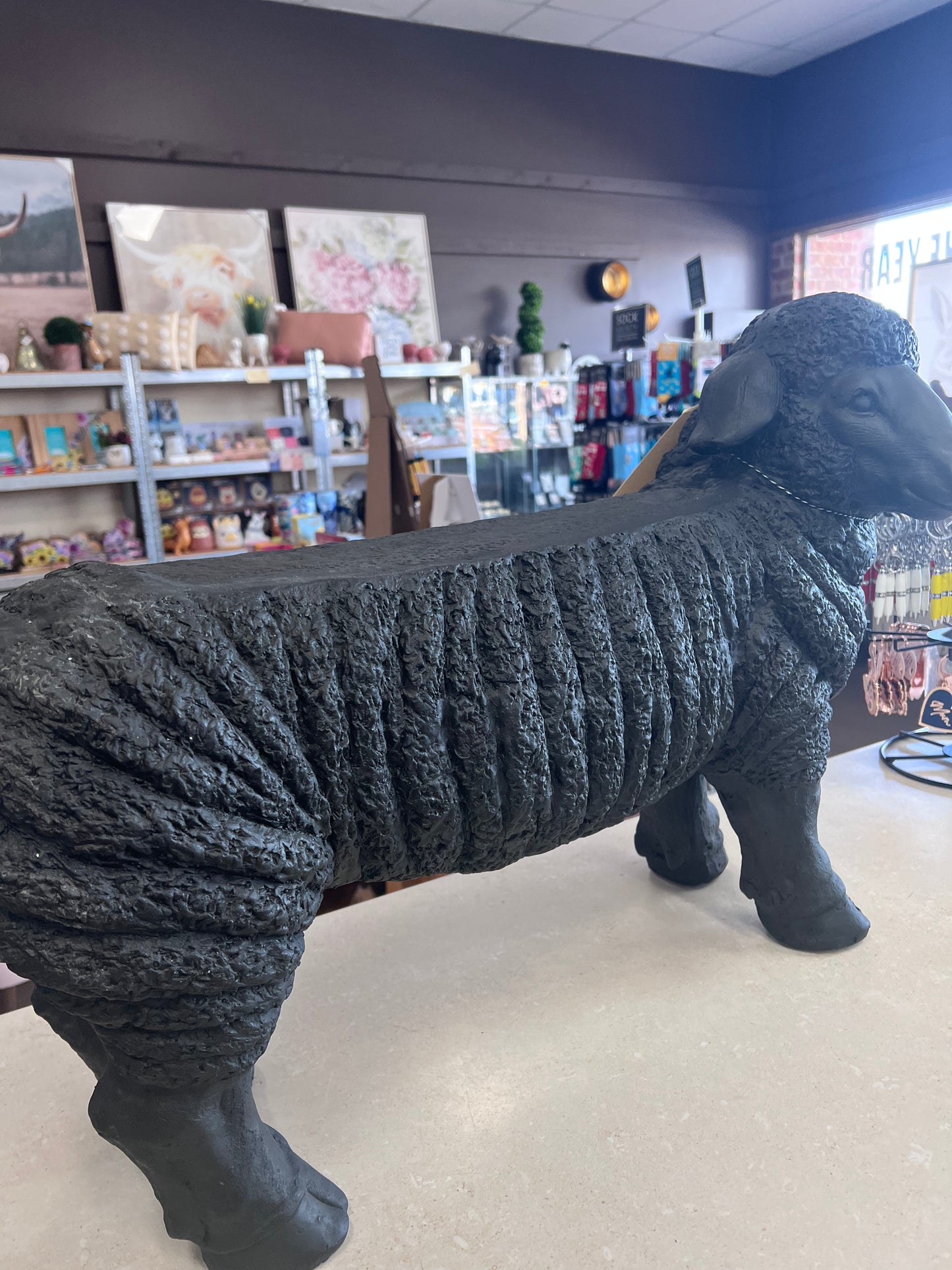 Barry The Sheep