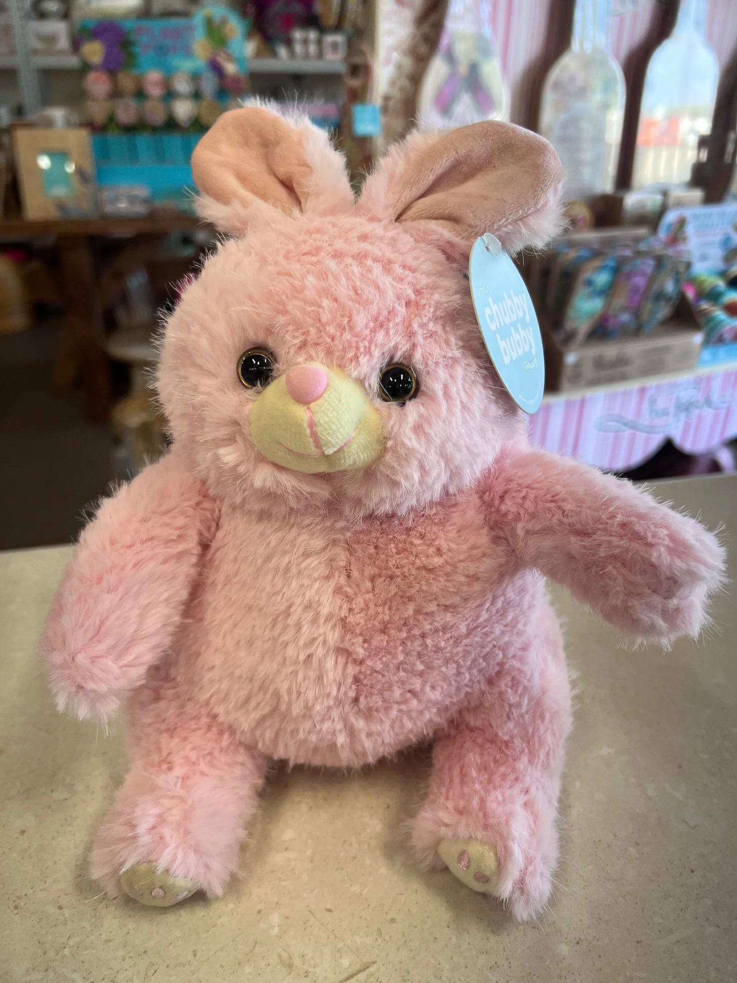 The Chubby Bubby Bunny