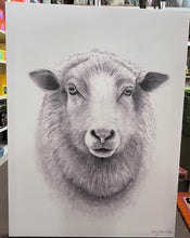 Load image into Gallery viewer, Sheep Print -drawing
