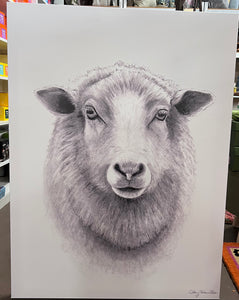 Sheep Print -drawing