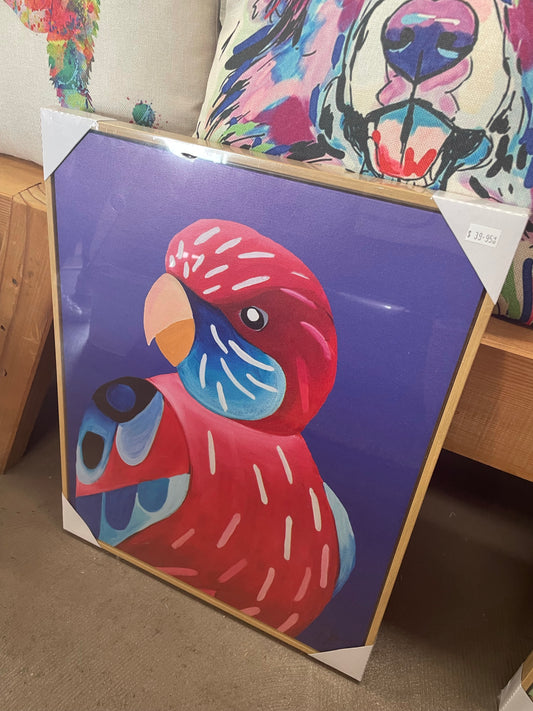 Rosella framed canvas print