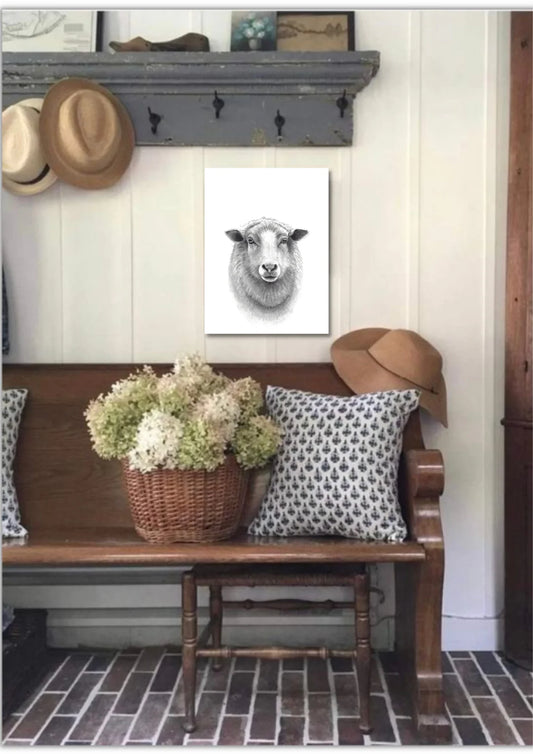 Sheep Print -drawing