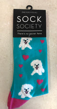 Load image into Gallery viewer, Love Dog Socks
