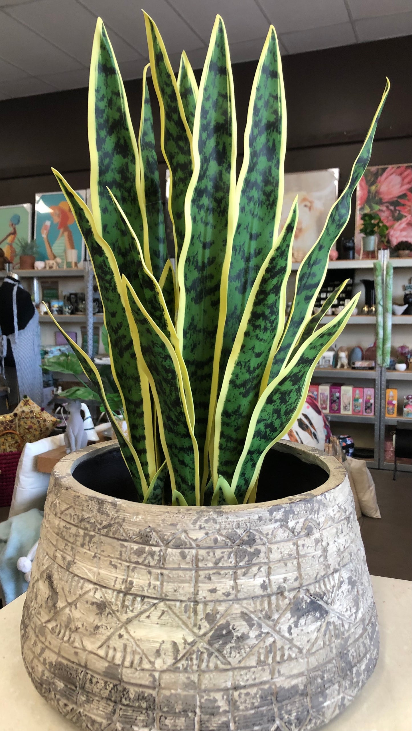 Large Pot