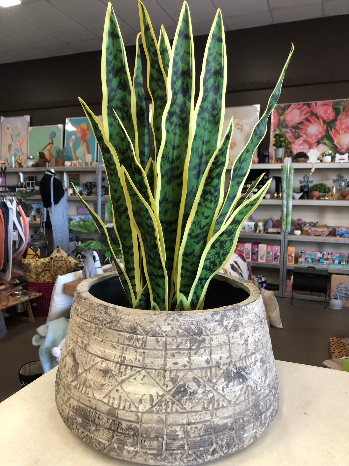 Large Pot